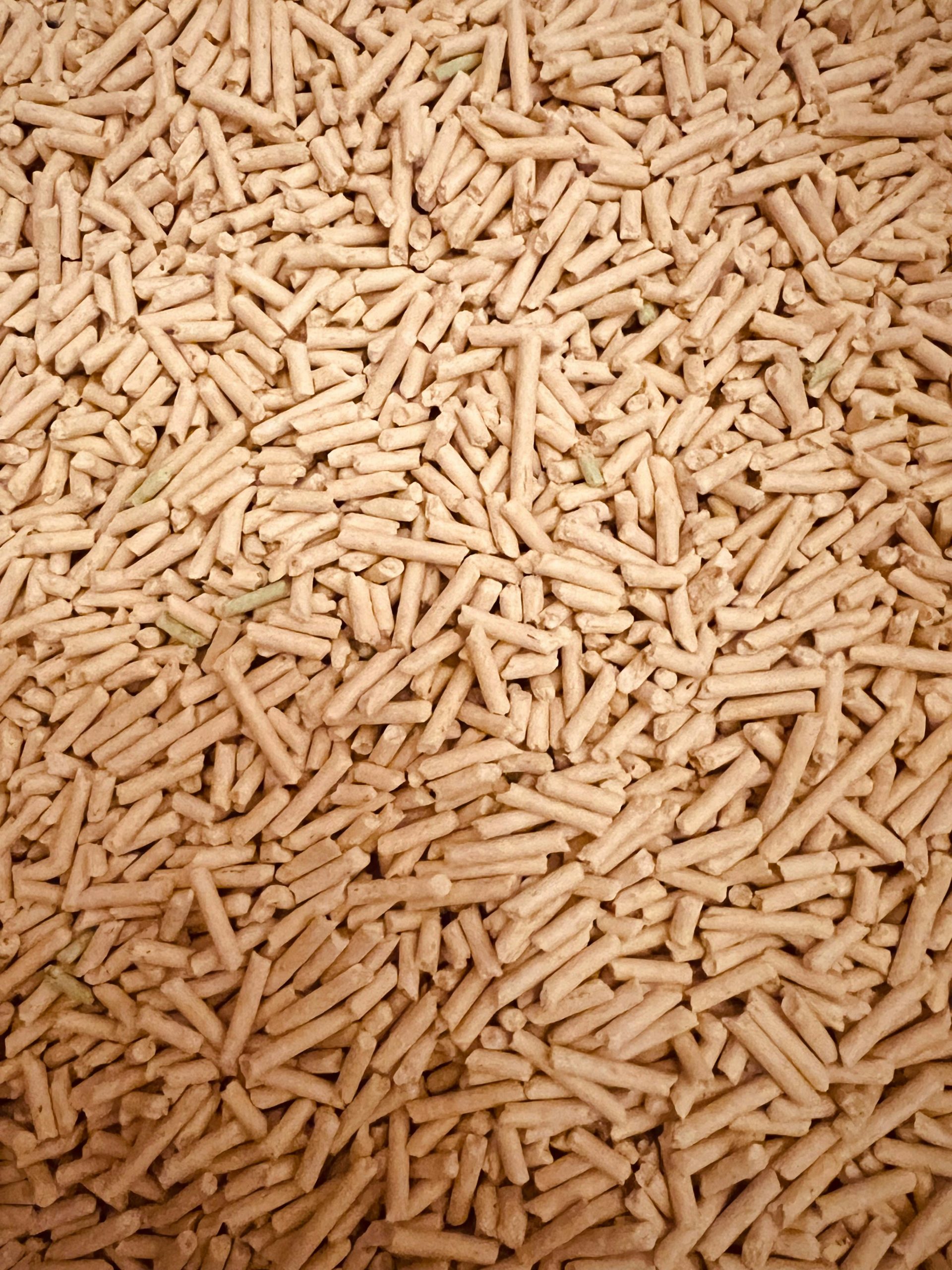 Fornitura Pellet a Striano